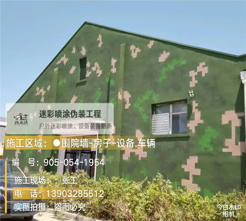 乐东外墙数码迷彩漆施工报价清单（100㎡标准墙面测算）